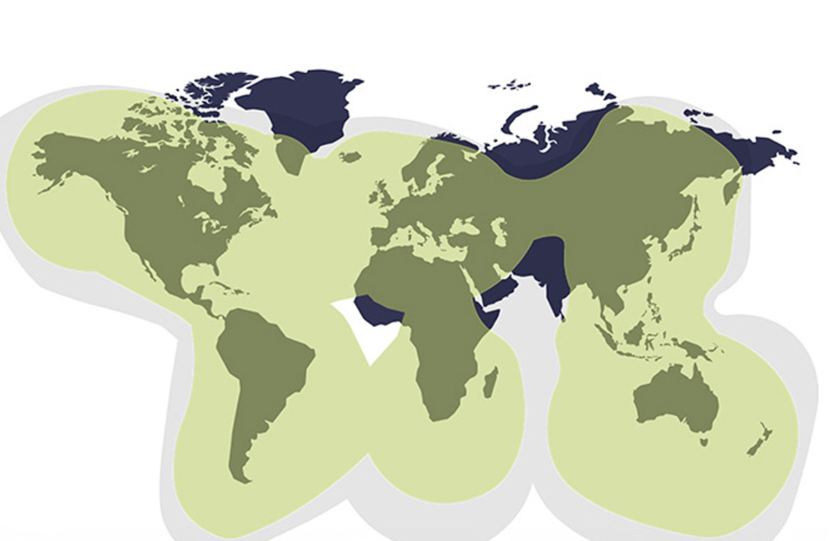 GlobalStar-Map-Airtime