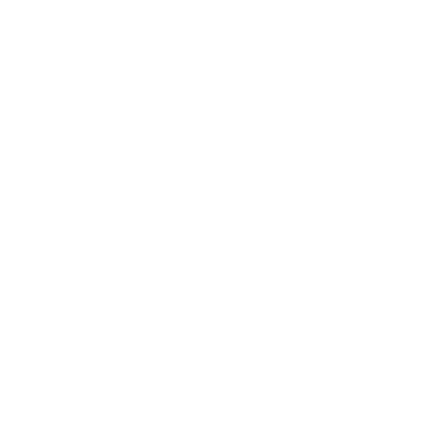 Vehicle Tracking Icon White 2