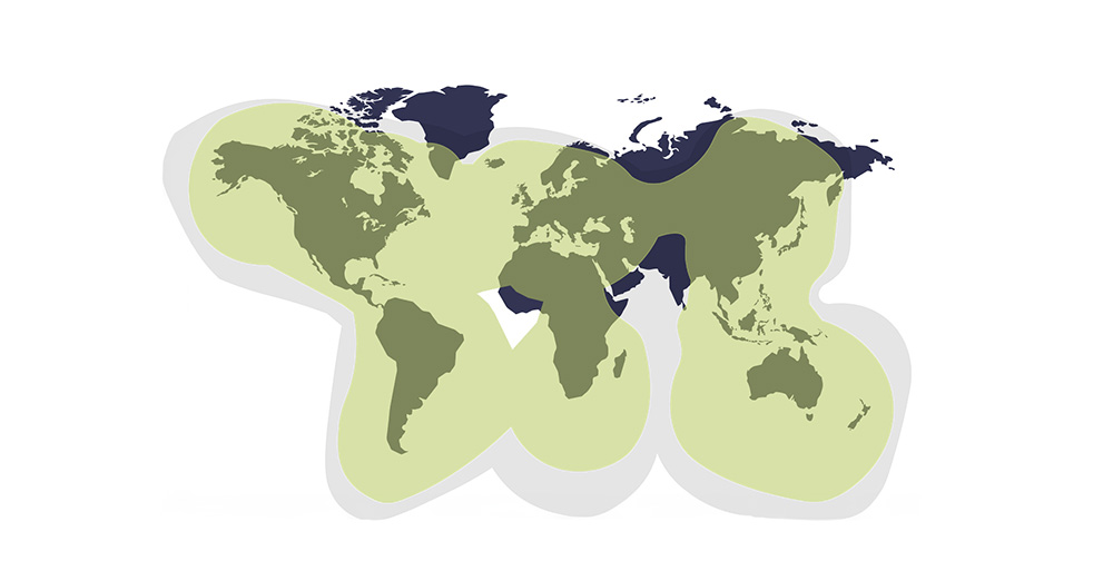 Globalstar Coverage Area Map