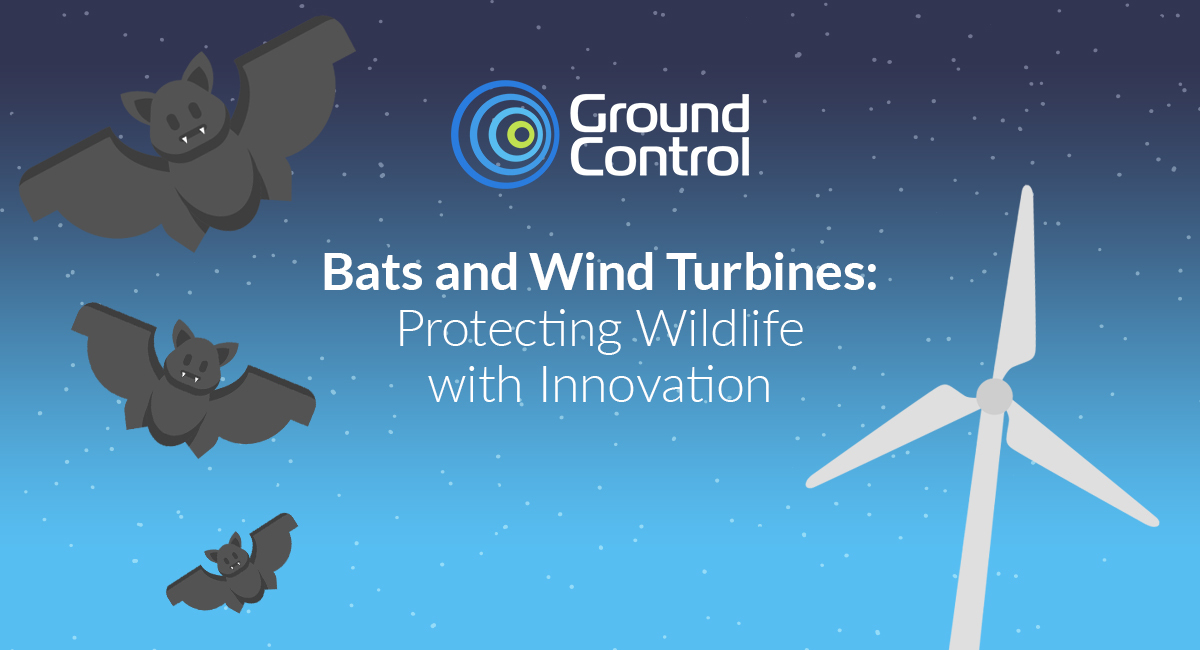 Header image for bat deterrent blog post