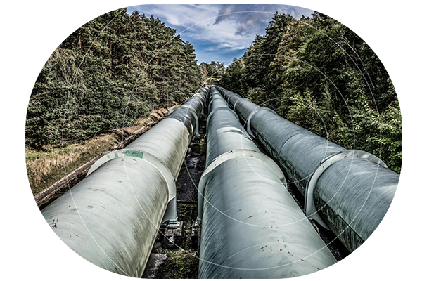 Pipeline-in-forest